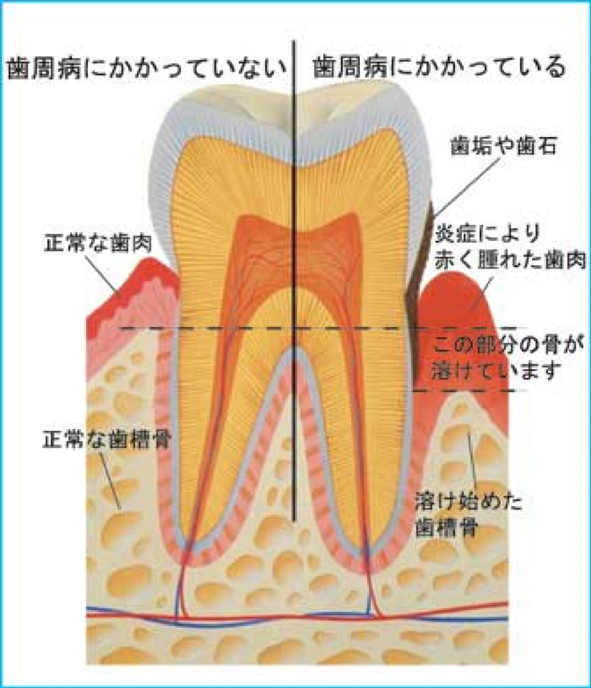 徹底した衛生管理